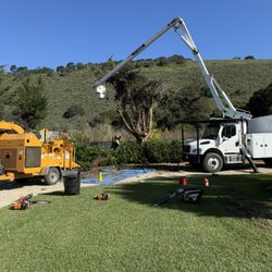 Mountain Valley Tree Service