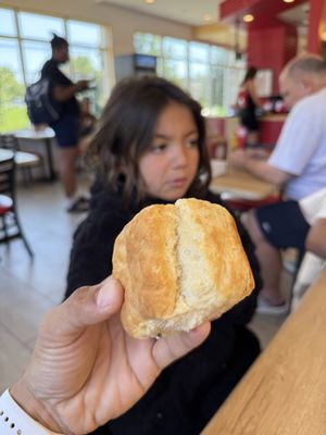 The Biscuit Lady by null