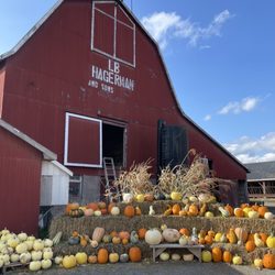 Hagerman Brothers Farms - Hagerman Farms - barn