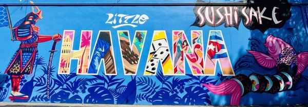 Little Havana by null