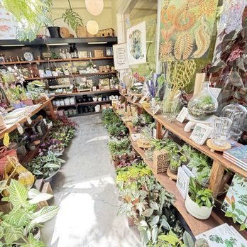 Flowerland Nursery - Nurseries & Gardening Near Me - Albany, California Flowerland Nursery - Nurseries & Gardening Near Me - Albany, California