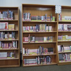 Howland Green Branch Library - Huge collection of graphic novels and comic books!
