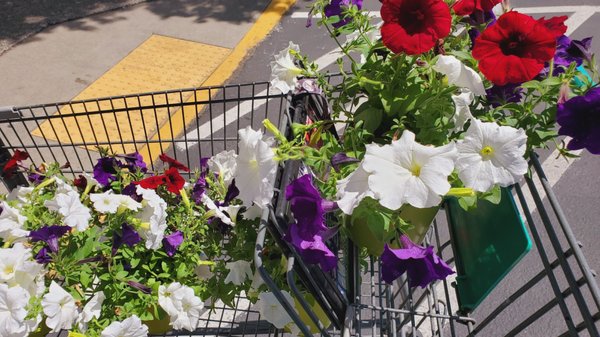 FRED MEYER ONE STOP SHOPPING - Updated January 2025 - 96 Photos & 50