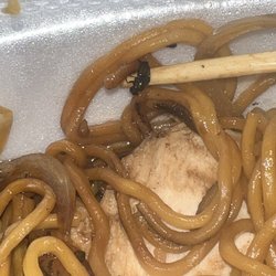 Zero Degrees - FLY IN THE CHICKEN LO MEIN