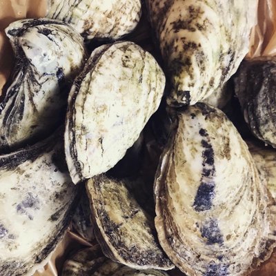 Locals Seafood - State Farmers Market by null