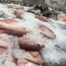 Great prices fresh fish love this place been coming here for years also the you buy we fry is the best part of it yummy Great prices fresh fish love this place been coming here for years also the you buy we fry is the best part of it yummy