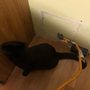 Photo of Promack Plumbing
