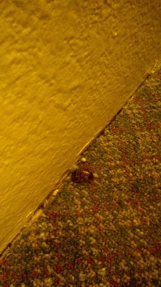 WINSLOW INN Updated June 2024 10 Reviews 701 W Third St, Winslow