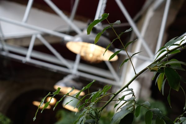 La REcyclerie by null