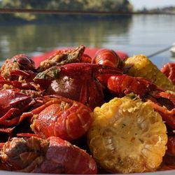 Crawdads on the River - Bucket of Crawdads