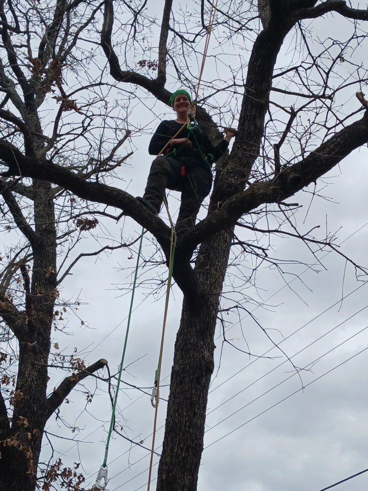 Artio - tree service in Oklahoma City, OK
