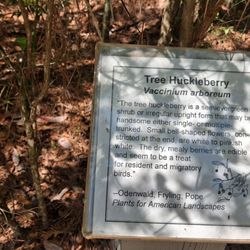 The Crosby Arboretum