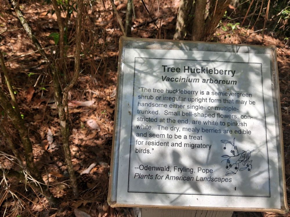 The Crosby Arboretum Logo