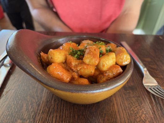 Oystercatcher by null