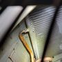 Photo of Service Lion Plumbing Heating Air Electric