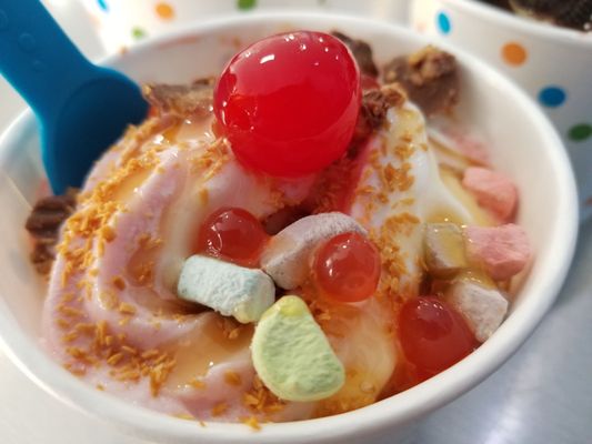 Coastal Frozen Yogurt by null