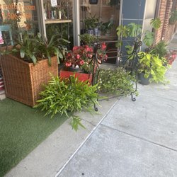 Always Blooming - Front of the store