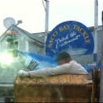 Saco Bay Tackle - Fishing Near Me - Saco, Maine