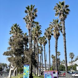 South Beach Park
