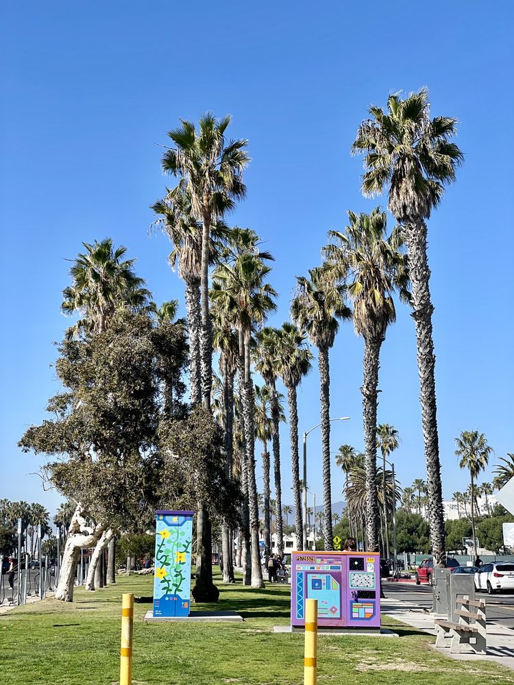 SOUTH BEACH PARK Updated October 2024 39 Photos & 22 Reviews 3400