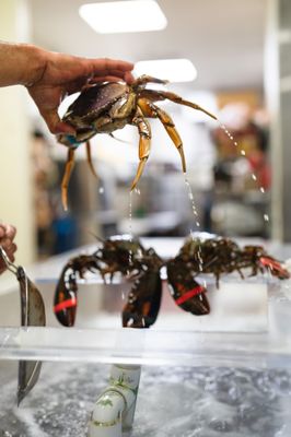 Crab Hut by null