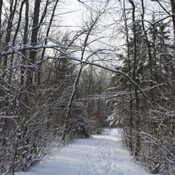 Lemoine Point Conservation Area - Walking and cross-country ski trail