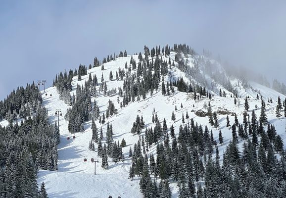 Crystal Mountain Resort by null