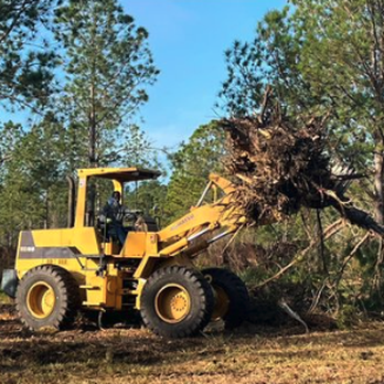 E And A Tree Service - Tree Services Near Me - Dade City, Florida E And A Tree Service - Tree Services Near Me - Dade City, Florida