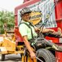Photo of Vermilion Tree Service