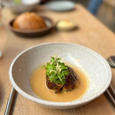 Oyster Oyster by null