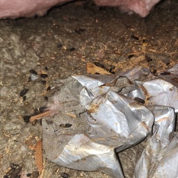 LA Rodents Control - Pest Control Near Me LA Rodents Control - Pest Control Near Me