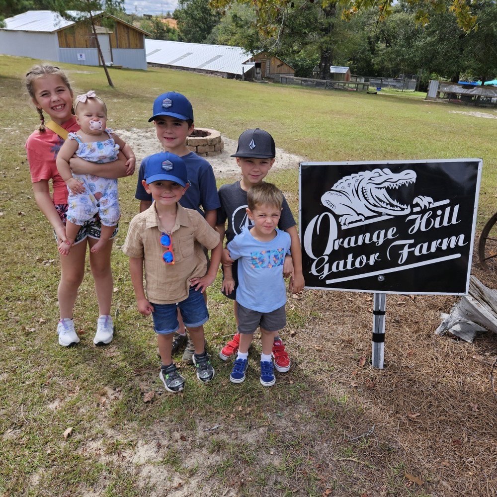 Orange Hill Gator Farm - Tours Near Me - Chipley, Florida Orange Hill Gator Farm - Tours Near Me - Chipley, Florida