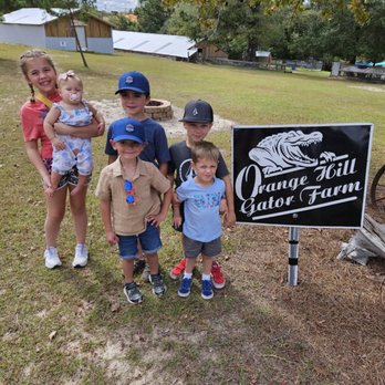 Orange Hill Gator Farm - Tours Near Me - Chipley, Florida Orange Hill Gator Farm - Tours Near Me - Chipley, Florida
