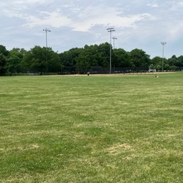 Park Park
