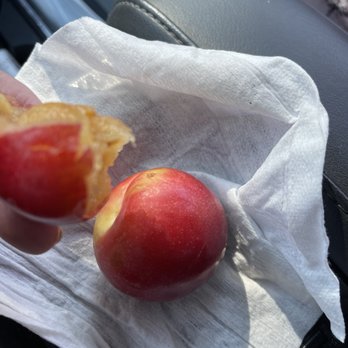 Master Gardeners Tree Fruit Orchard - My jaw hurt from the flavor burst on how good it tasted - Farms Near Me - Las Vegas, Nevada