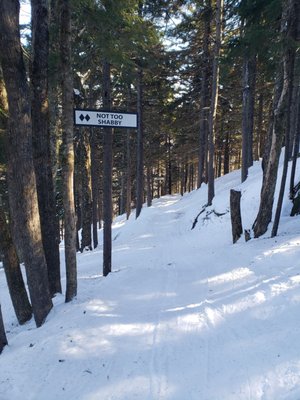 Ragged Mountain Resort by null