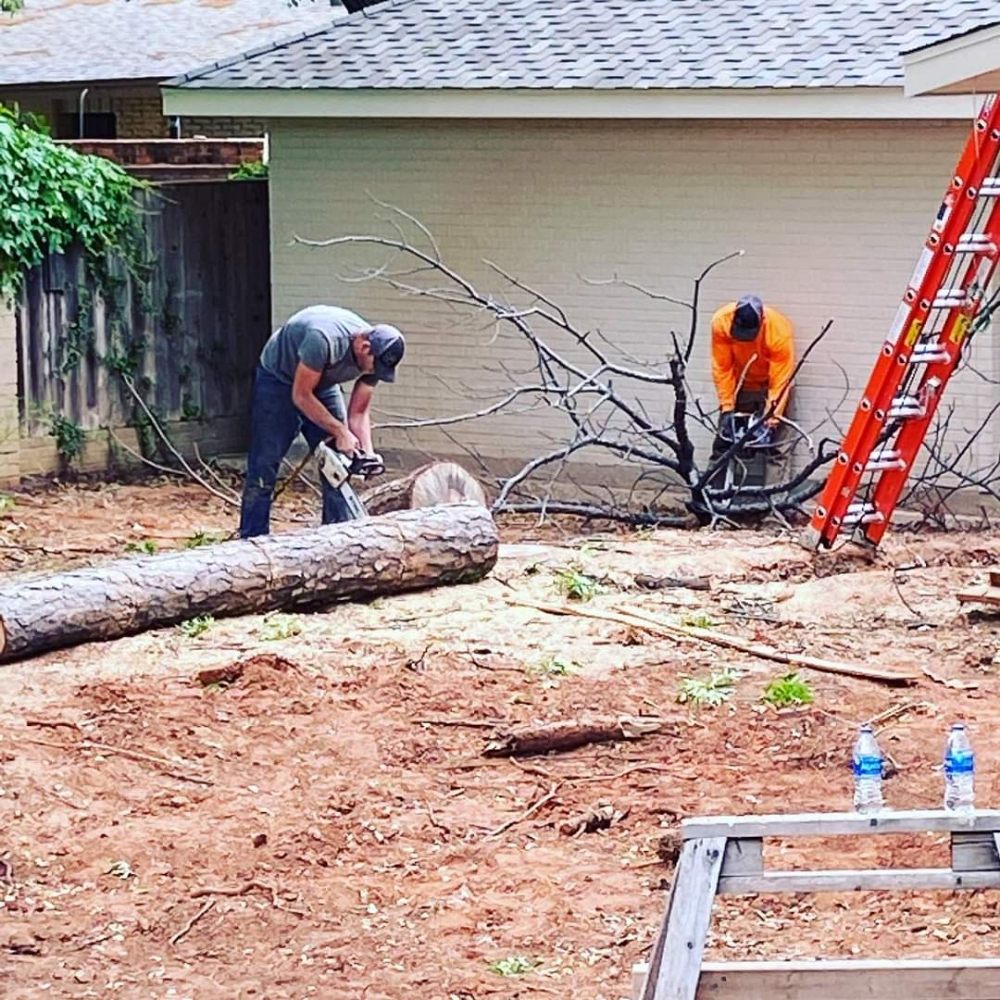 LIMB 2 LIMB TREE SERVICES Updated June 2024 13 Photos 804 Gravel