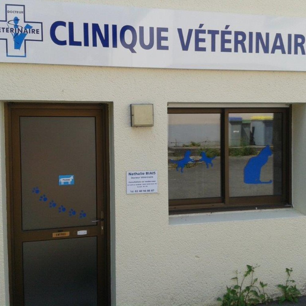 THE BEST 10 VETERINARIANS near REDON, ILLE-ET-VILAINE, FRANCE - Updated  2026 - Hours - Yelp