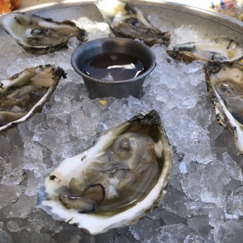 Coconuts - Oysters - Seafood Near Me - Fort Lauderdale, Florida Coconuts - Oysters - Seafood Near Me - Fort Lauderdale, Florida