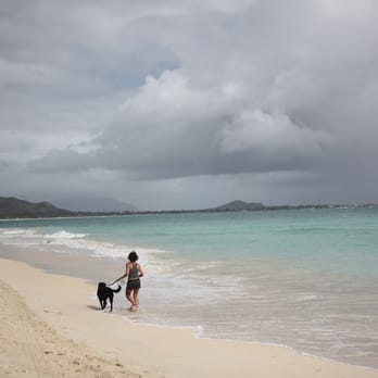 Kailua Beach Park - kailua beach - Parks Near Me - Kailua, Hawaii Kailua Beach Park - kailua beach - Parks Near Me - Kailua, Hawaii
