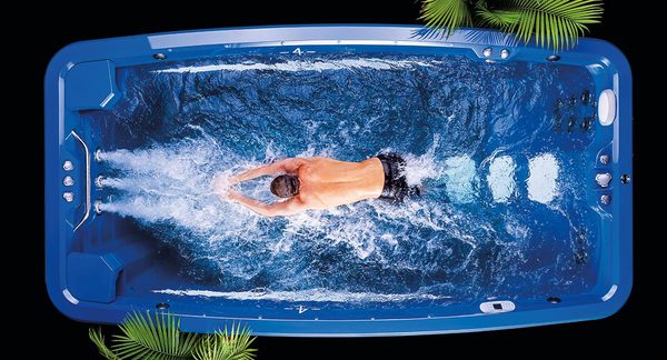 Sonoma Backyard by null