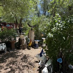 This Place Is For the Birds