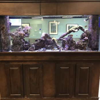 Morrison Dental Associates - Pretty fish tank to relax us... - Oral Surgeons Near Me - Savannah, Georgia Morrison Dental Associates - Pretty fish tank to relax us... - Oral Surgeons Near Me - Savannah, Georgia