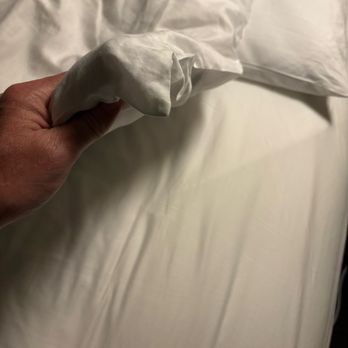 The Blackstone, Autograph Collection - Super flat pillows - Hotels Near Me - Chicago, Illinois The Blackstone, Autograph Collection - Super flat pillows - Hotels Near Me - Chicago, Illinois