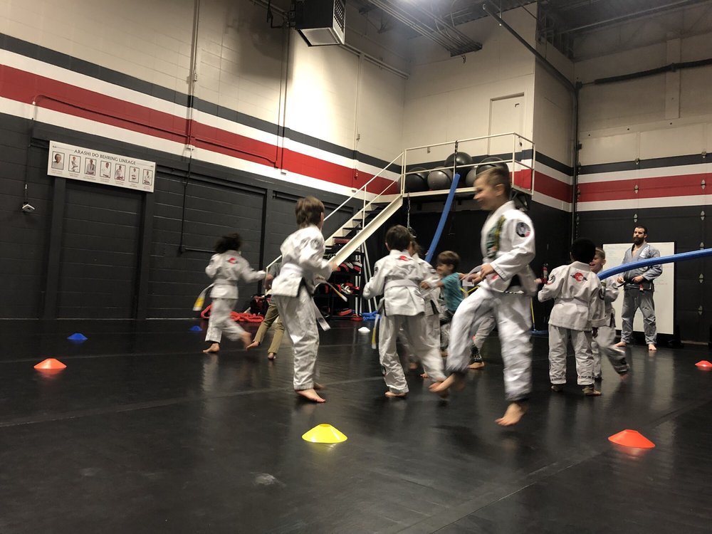 IRONSIDE MARTIAL ARTS Updated September 2024 15 Photos 13544 Riel Drive, St. Albert