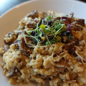 Cheers Bistro - Filet risotto. Can never have too much filet. - Breakfast & Brunch Near Me - Reading, Pennsylvania
