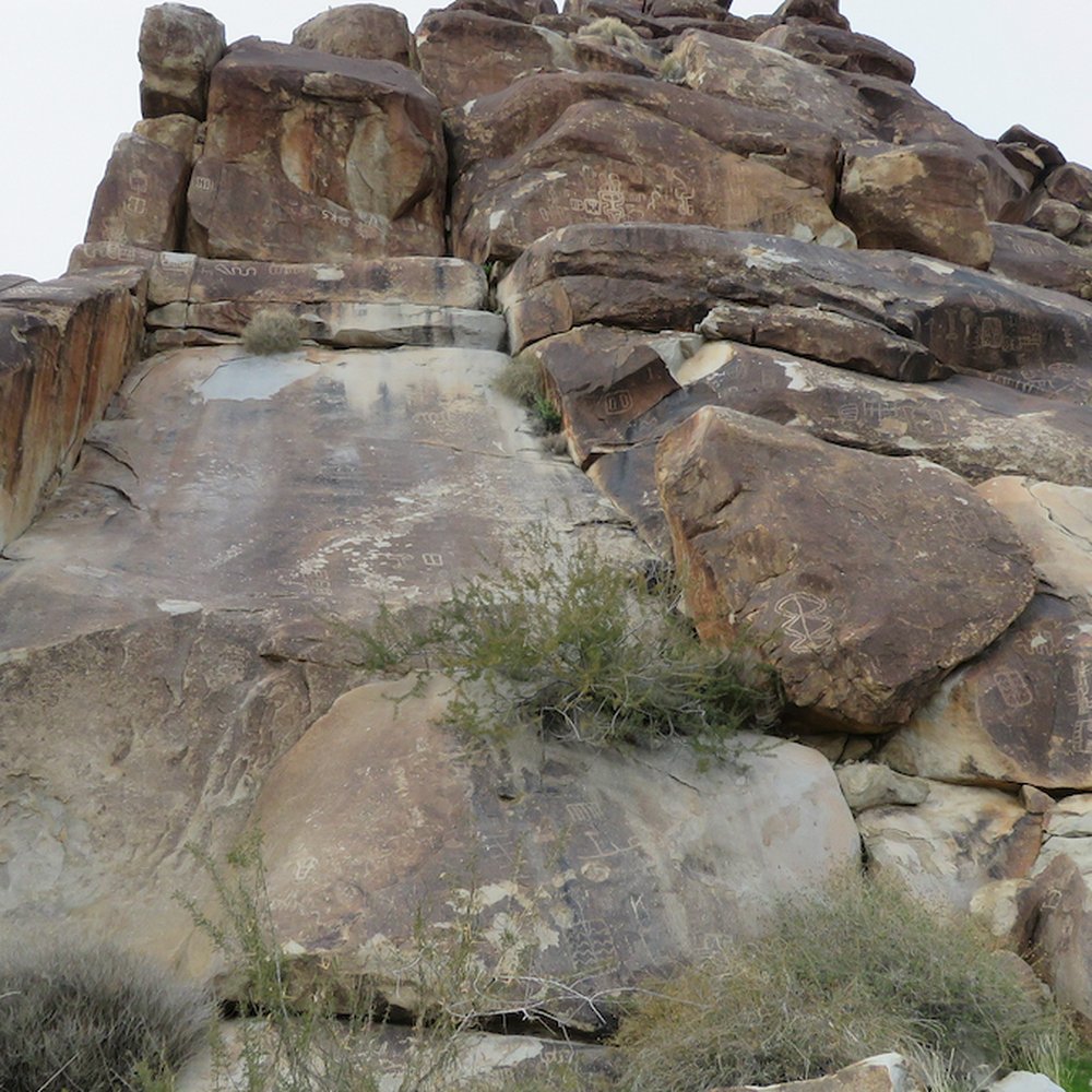 Grapevine Canyon - Some is high up on rock formations. - Hiking Near Me - Laughlin, Nevada Grapevine Canyon - Some is high up on rock formations. - Hiking Near Me - Laughlin, Nevada