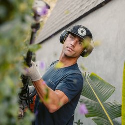 Shellback Landscapes - Power trimming