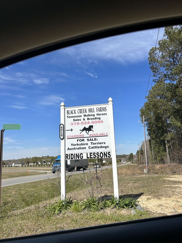 Black Creek Hill Farms - equestrian in Benson, NC