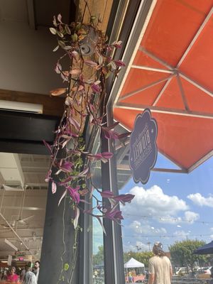 Bidwell Restaurant by null